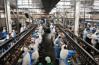 Projeto estabelece novas faixas de trabalho e descanso em câmaras frigoríficas
