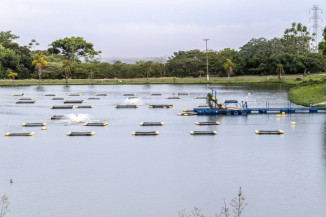 Exportação de pescados dobra no primeiro semestre de 2022