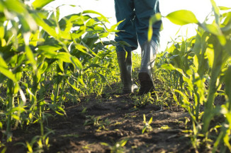 Programa Terra Brasil libera mais de R$ 58 milhões para trabalhadores rurais em 2022