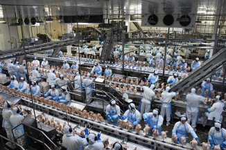 Indústria de MS gerou 838 novas vagas de emprego formal em junho e 7.684 no acumulado do ano