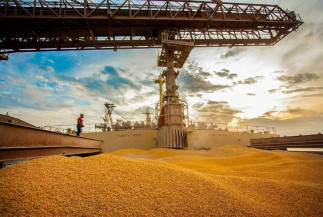 Brasil exportou mais de 4 milhões de t de milho em julho e acumulou mais R$ 1 bi de renda