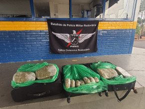 Polícia Militar Rodoviária apreende skank com passageiro de ônibus