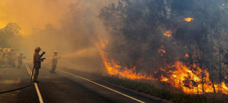 Cidades buscam soluções ecológicas para enfrentar ondas de calor