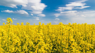 Preços de referência de produtos agropecuários e da aquicultura são reajustados para o ano agrícola 2022/2023