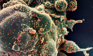 Síndromes respiratórias se aproximam de menor patamar da pandemia
