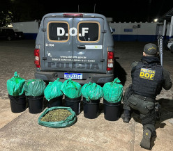 DOF apreende droga avaliada em R$ 200 mil em galões de massa plástica