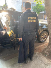 PF deflagra Operação Niño Seguro de combate à disseminação de pornografia infantil