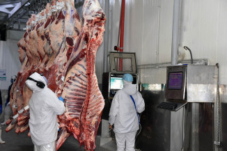 Setor industrial de MS abriu 1.441 novas vagas de emprego em julho e 9.099 no acumulado do ano