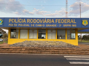 Caminhoneiro é preso com cocaína avaliada em R$ 90 milhões