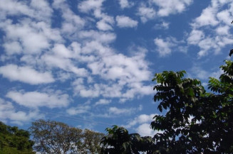 Previsão do Tempo: temperaturas podem atingir 40ºC nesta quinta-feira