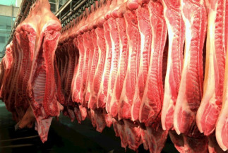 Exportação de carne suína e bovina bate recorde com a China