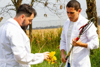Herbário da UFGD abriga mais de sete mil espécies vegetais