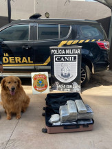 PF prende mulher com 24 kg de droga no Aeroporto de Ponta Porã