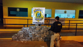 PRF apreende carga milionária de cocaína e morador de Dourados é preso