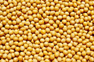 Aplicativo orientador produtor de soja a ataque de fertilizantes