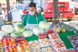 Comissões apresentam pesquisa sobre rastreabilidade de produtos vegetais