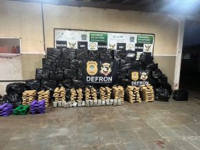 Defron apreende 1,2 toneladas de maconha no Flor de Maio