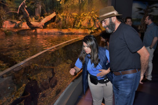 Almir Sater visita Bioparque Pantanal e é homenageado com nome em tanque de jacarés