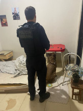 PF deflagra operação em combate ao tráfico de drogas