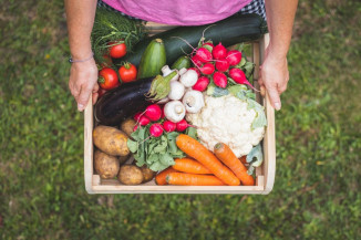 Grupo de Trabalho do Mapa propõe estratégias para o combate às perdas e ao desperdício de alimentos