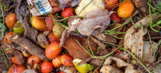 Reduzir desperdício de alimentos é essencial para combater fome global