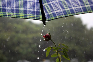 Quarta-feira tem previsão de chuva em todas as regiões do Estado, com possibilidade de tempestades isoladas