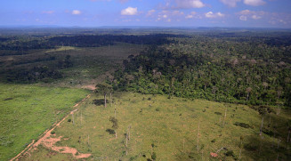 Entre 2000 e 2020, a área agrícola do país cresceu 230 mil km² e a vegetação natural diminuiu 513 mil km²