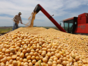 Mato Grosso do Sul é destaque nacional na economia e geração de empregos