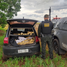Carro furtado em MG é apreendido pelo DOF em Dourados com mais de 700 kg de maconha