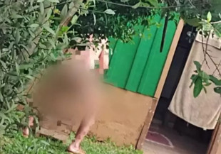 Homem é preso ao ser flagrado estuprando cachorro em MS