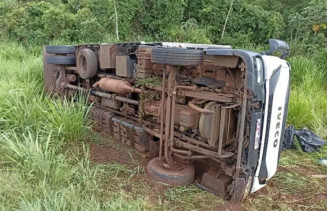 Motorista sai da pista e tomba carreta com carga de carne