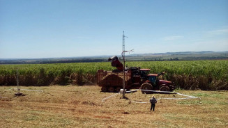 Pesquisa usa modelo biofísico para simular os impactos das mudanças climáticas em cana-de-açúcar