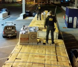 Carreta com 80 mil pacotes de cigarros contrabandeados é apreendida pelo DOF