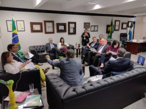 Em Brasília, Reinaldo e Riedel discutem emendas com bancada federal