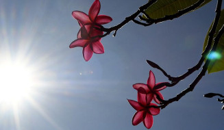 Final de semana será de sol e calor de até 39°C; chuvas retornam no domingo