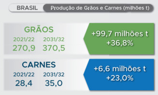 Produção de grãos deve crescer 36,8% nos próximos dez anos