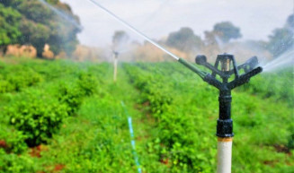 Comissão aprova projeto que permite retirada de mata nativa para obras de irrigação no campo