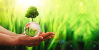 Criação de mercado global de metano é proposto pelo Brasil na COP27
