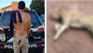 Homem vai preso após matar cachorro a tiros