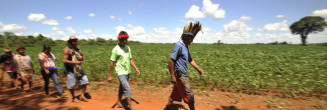 Funai leva multa por não demarcar terras indígenas em MS