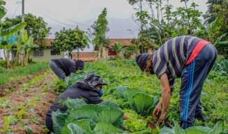 Comissão aprova projeto que altera pontos da Lei da Reforma Agrária