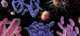 Relatório aponta maior resistência de bactérias a ação de antibióticos