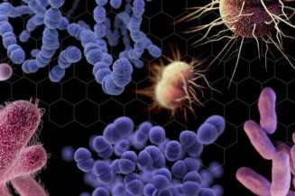 Relatório aponta maior resistência de bactérias a ação de antibióticos