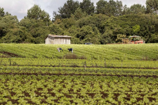 Comissão aprova projeto que prevê recursos para assistência técnica e extensão rural