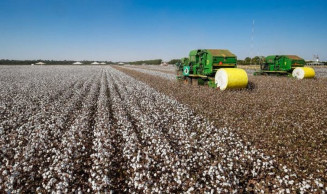 Comissão aprova projeto que determina divulgação de lucros com venda de agrotóxicos