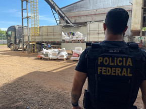 PF incinera mais de 12 toneladas de drogas em Ponta Porã