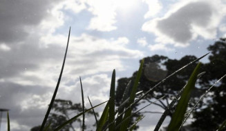 Chuva no final de semana ameniza calorão; confira previsão do Cemtec para MS
