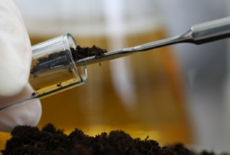 Bioinsumos vão alcançar agroquímicos na década de 2040