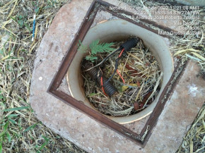Vândalos furtam 5 mil metros de fios e deixa parque parcialmente no escuro