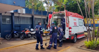 Motorista sofre ataque de abelhas e bate carro em poste; carona fica inconsciente devido a picadas